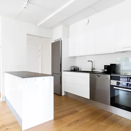 아파트 Fantastic Modern 3-br In Prime Location - 239 오덴세